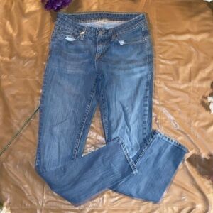 Signature by Levi Strauss